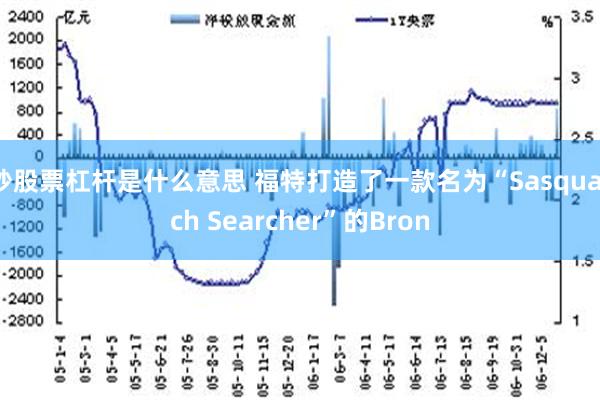 炒股票杠杆是什么意思 福特打造了一款名为“Sasquatch Searcher”的Bron