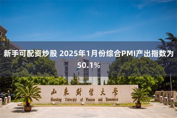 新手可配资炒股 2025年1月份综合PMI产出指数为50.1%